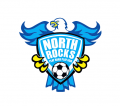 NORTH ROCKS PLAY HARD Iron On Transfer NORTH ROCKS PLAY HARD Iron On Transfer