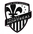 Montreal logo iron on transfer Montreal logo iron on transfer